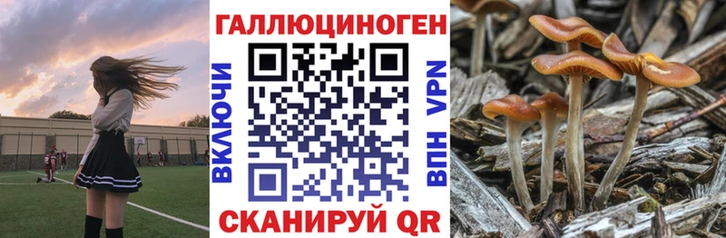 Псилоцибиновые грибы мицелий  Павловская 